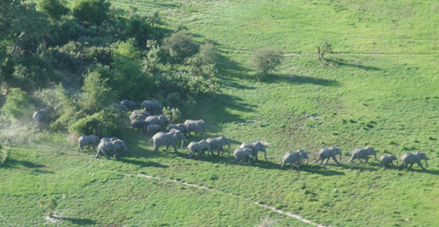 DELTA DEL OKAVANGO-¡Insólito! 1