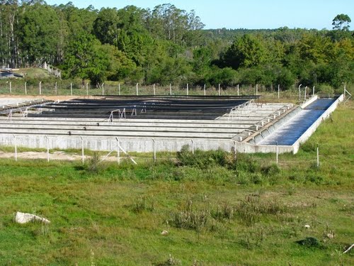 Esturiones en Rio Negro - Uruguay 0 - Piscifactorias y Redes de Pesca