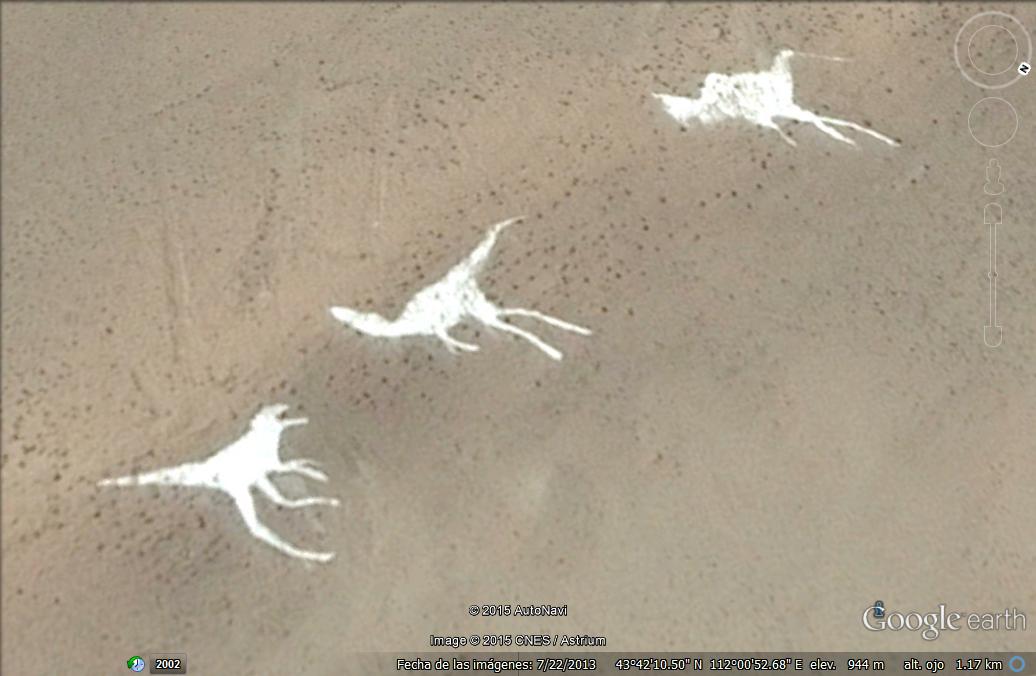 3 dinosaurios mas en el desierto del Gobi, en el lado chino 1 - Emu Gigante - sur de Australia 🗺️ Foro General de Google Earth