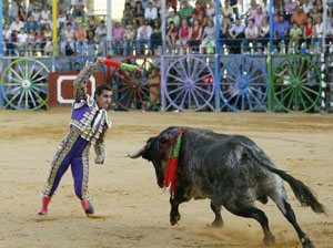 ¿Quién dijo que las plazas de toros eran redondas?