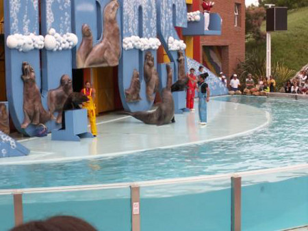 Aquarium, Mar del Plata, Buenos Aires, Argentina 0