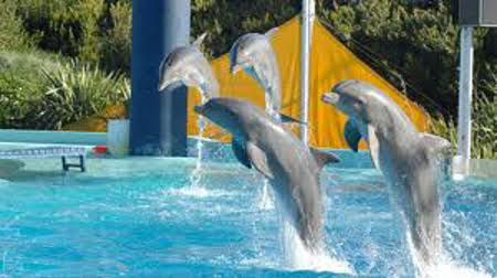 Aquarium, Mar del Plata, Buenos Aires, Argentina 1