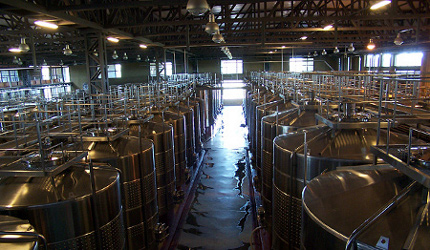 Bodega del Fin del Mundo, Neuquén, Argentina 0