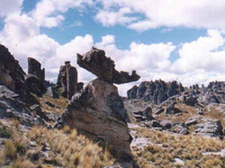 Bosque de piedras de Huayllay, Pasco, Peru 0