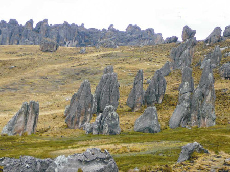 Bosque de piedras de Huayllay, Pasco, Peru 0