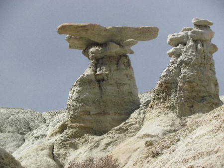 Bosque Petrificado La Leona, Santa Cruz, Argentina 0