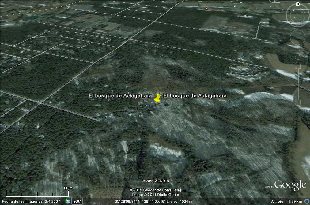 bosque de Aokigahara - MASACRE DE JONESTOWN 🗺️ Foro General de Google Earth