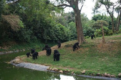 Buhoba, Lago Victoria, Uganda 1