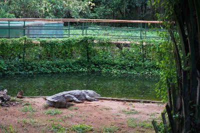 Buhoba, Lago Victoria, Uganda 0