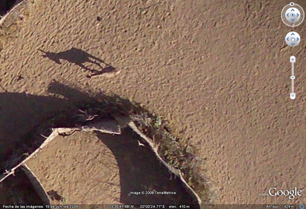 Hipopotamo Joven en Niger 🗺️ Foro Coordenadas y Vistas en Google Earth 0