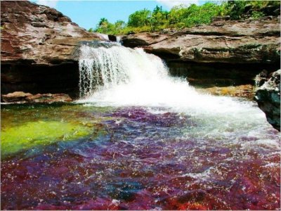 Caño Cristales, Meta, Colombia 0