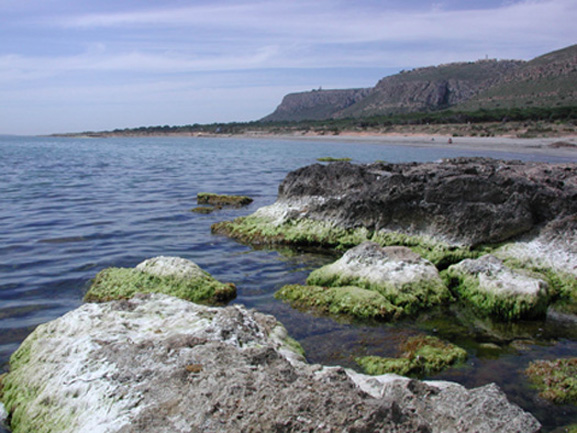 SANTA POLA- Sus playas 1