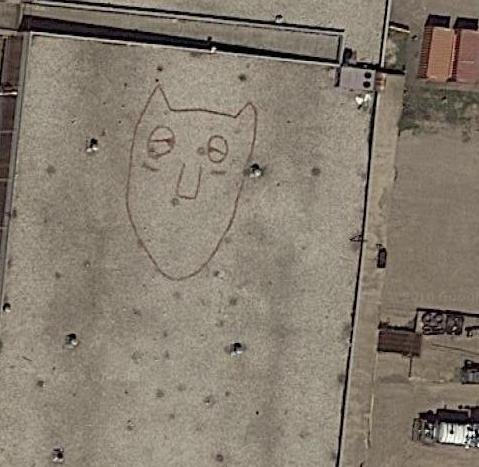 Carita de Gato 1 - Bandera de USA con flores en Carlsbad, California 🗺️ Foro General de Google Earth