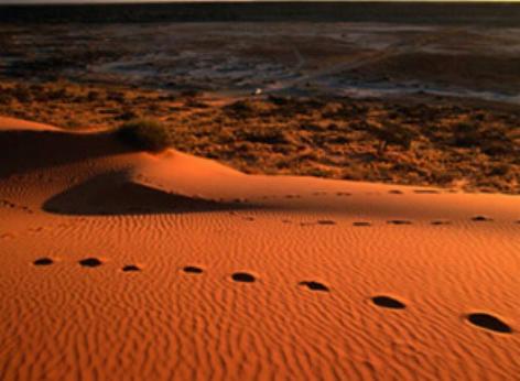 Desierto de Simpson, Australia el desierto rojo 0