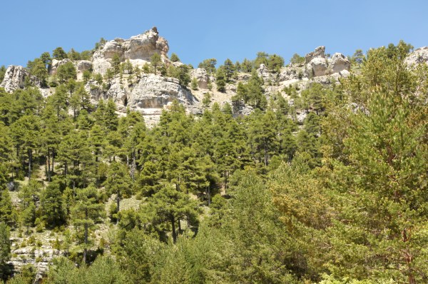 Nacimiento del rio Cuervo - Paisaje de alrededor del Paraje - Lugares de Interés de la Serrania de Cuenca