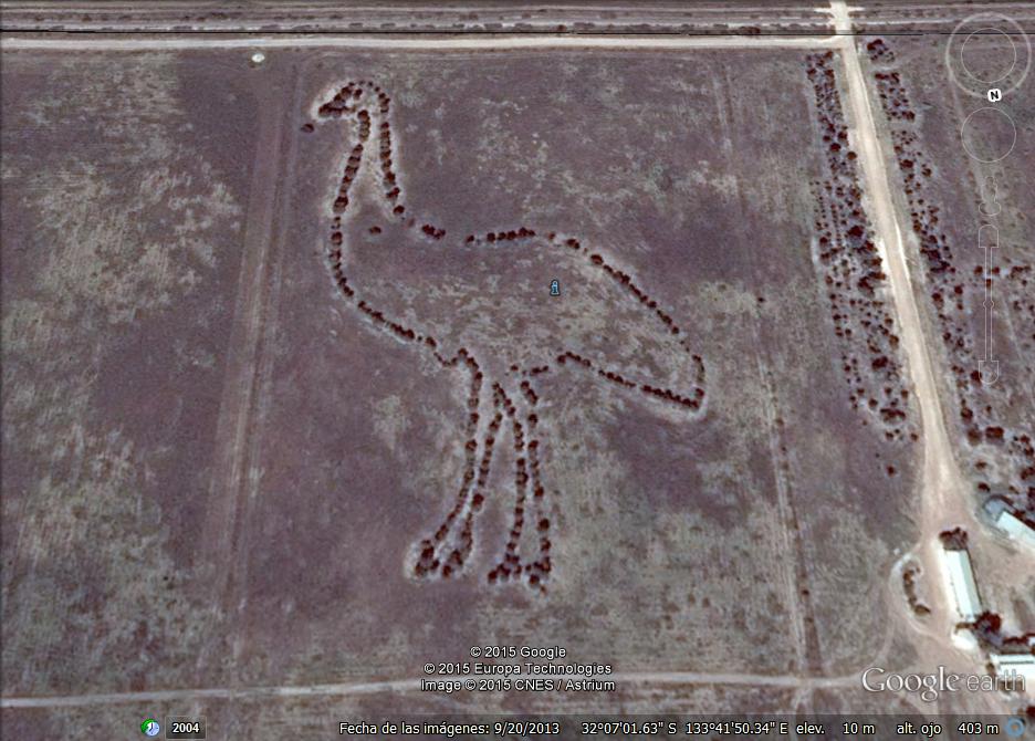 Emu Gigante - sur de Australia 0 - Una Isla a Tiempo -imagen gigante- Munich 🗺️ Foro General de Google Earth