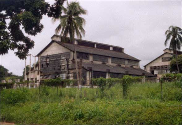 Utopia de Ford en selva brasilera 1