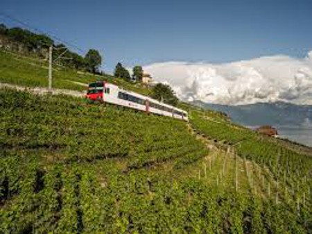 Funicular Vevey, Suiza 1