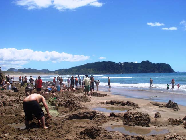 La playa neozelandesa de agua caliente. 0