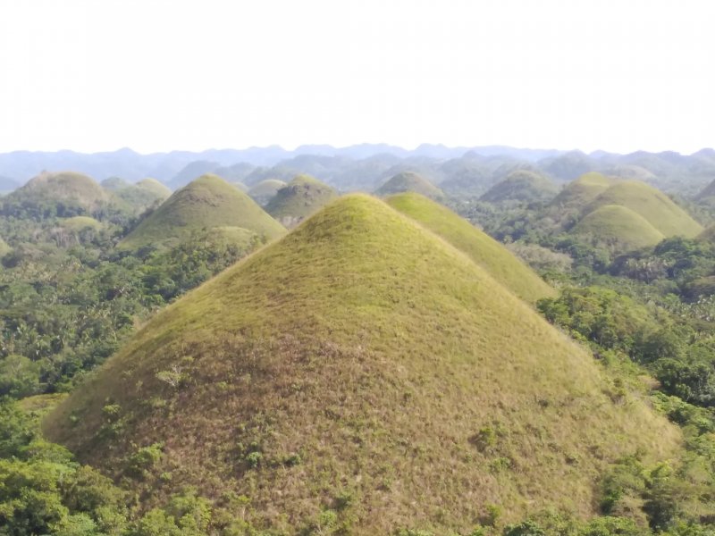 BOHOL-Colinas de Chocolate 🗺️ Foro Asia