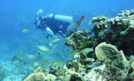 Isla de Providencia, San Andrés y Providencia, Colombia 1