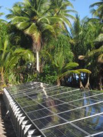 Isla Fassarai, Micronesia 🗺️ Foro Oceanía 0