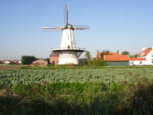 Molinos de Viento tradicionales de Holanda 1