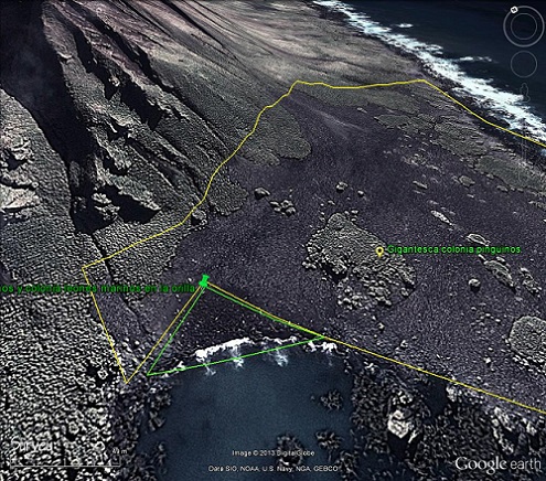 Colonias de leones marinos y pingüinos emperador 0