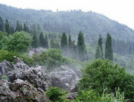 montaña Fanjing, Tongren, Guizhou, China 1