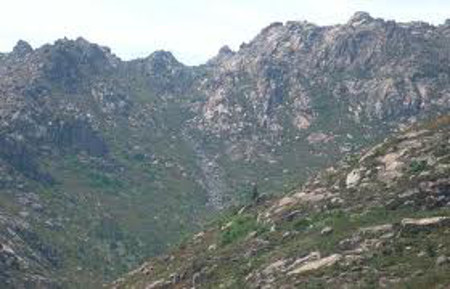 Monte de Castrelos, Vigo, Galicia 0