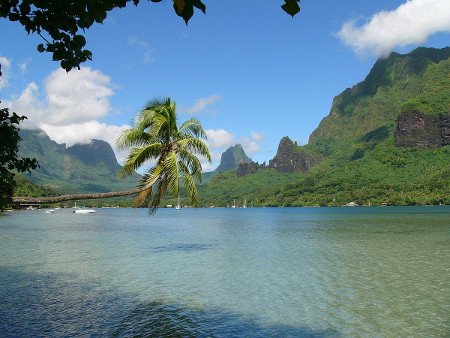 Moorea, Îles du Vent, Polinesia Francesa 0