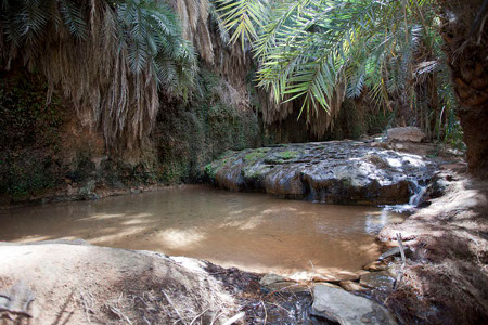 Oasis Terjit, Mauritania 1