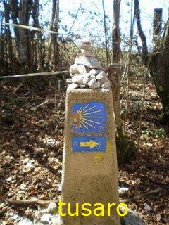 Camino de Santiago de Compostela