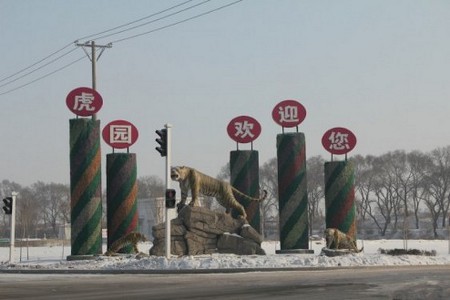 Parque del Tigre Siberiano, Harbín, Heilongjiang, China 0