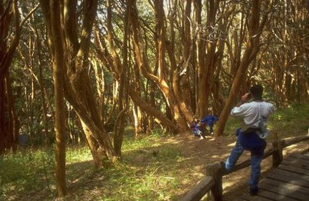 Parque Nacional Arrayanes, Neuquén, Argentina 0