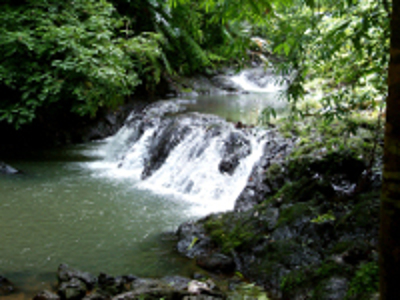 Parque Nacional Corcovado, Costa Rica 0