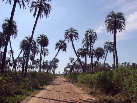 Parque Nacional El Palmar, Entre Rios, Argentina 0