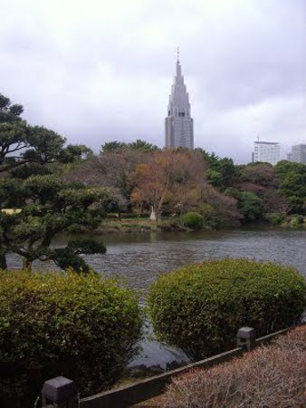 Parque Yoyogi, Harajuku, Japon 0