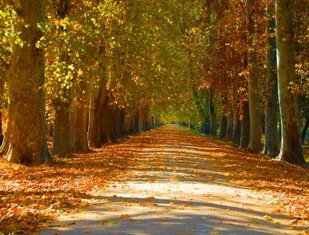 Fuentes de Aranjuez 0