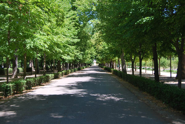 Paseo de entrada del jardin