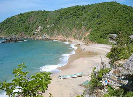 Playa Mazunte, Zipolite, Oaxaca, Mexico 1