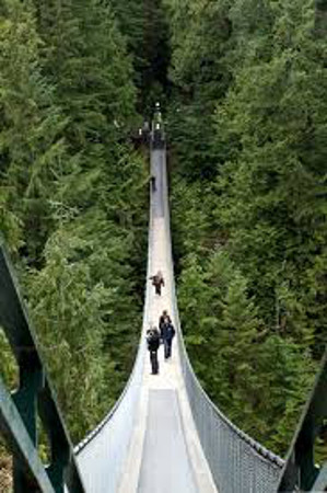 Puente Colgante, Vancouver, Columbia Britanica, Canada 0