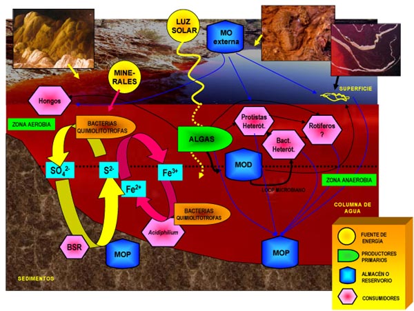 Minas de Riotinto