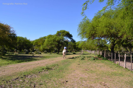 Selva de Montiel, Paraná, Entre Ríos, Argentina 1