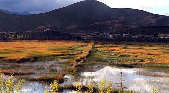 Shangri-la, Yunnan, China 1