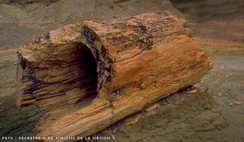 bp-2.jpg