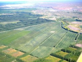 campos de san patricio