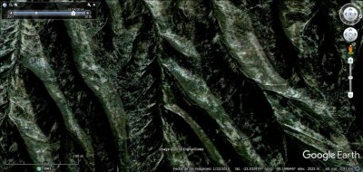 Hoja de parra en Google Earth