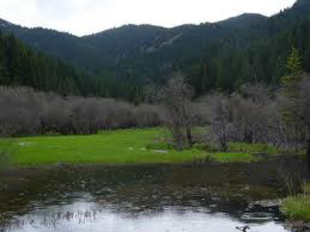 Valle Mounigou, Sichuan, China 1