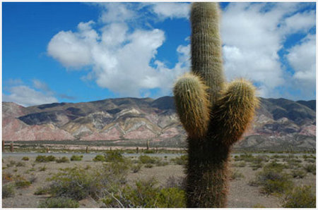 Valles Calchaquíes, Salta, Argentina 🗺️ Foro América del Sur y Centroamérica 1